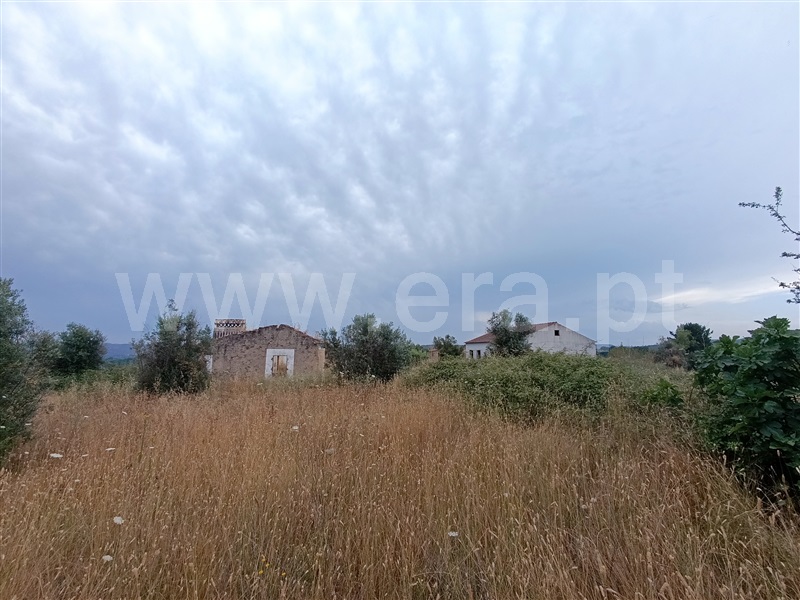 Quinta  Abrantes, Mouriscas - 1490593 - 9