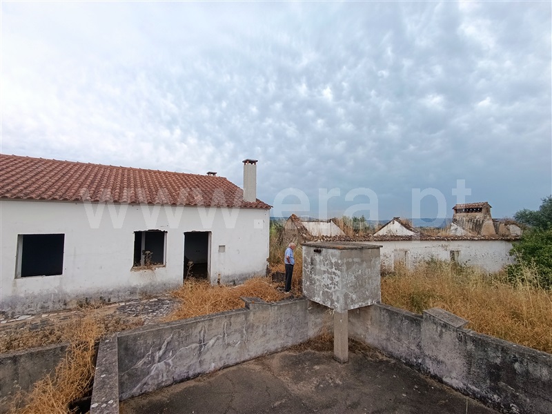 Quinta  Abrantes, Mouriscas - 1490593 - 12