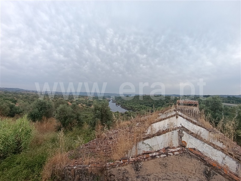 Quinta  Abrantes, Mouriscas - 1490593 - 13