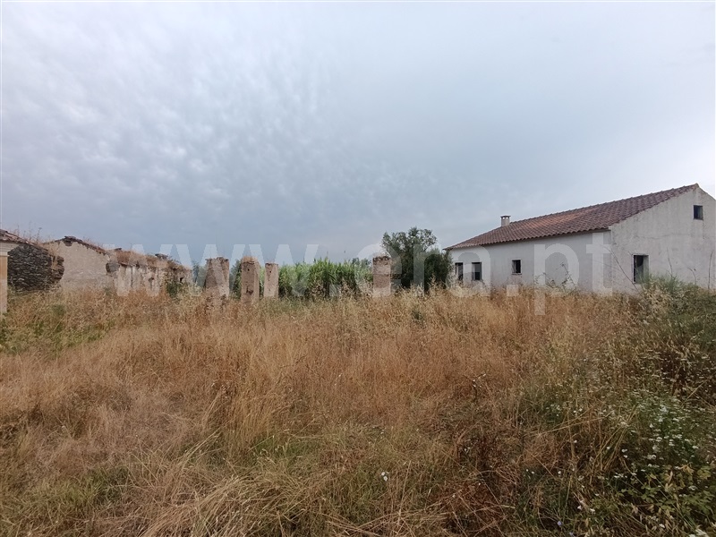 Quinta  Abrantes, Mouriscas - 1490593 - 17
