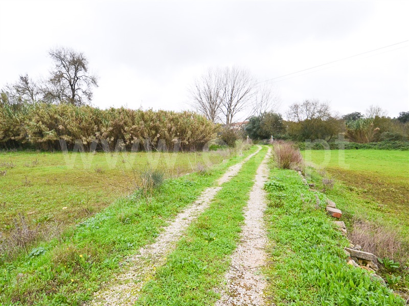 Quinta / Alcanena, Alcanena
