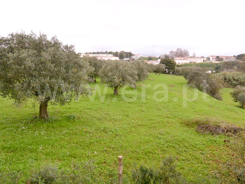 Quinta  Alcanena, Alcanena - 1486145 - 6