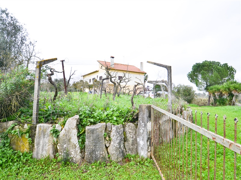 Quinta  Alcanena, Alcanena - 1486145 - 23