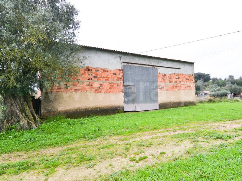 Quinta  Alcanena, Alcanena - 1486145 - 24