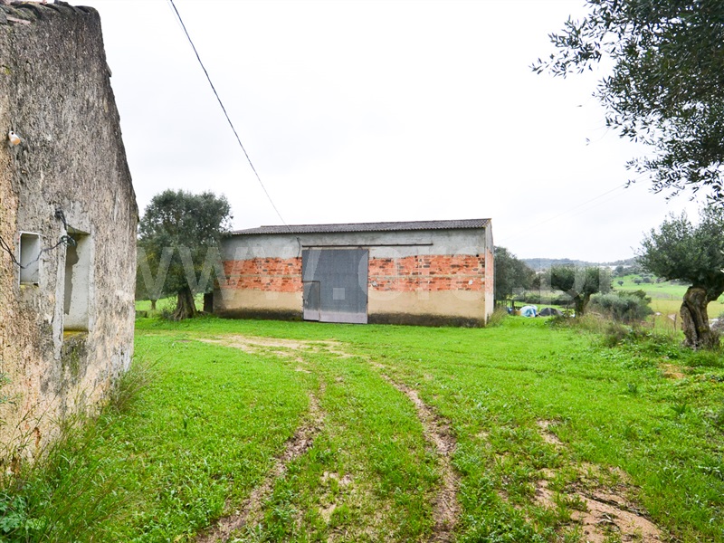 Quinta  Alcanena, Alcanena - 1486145 - 25