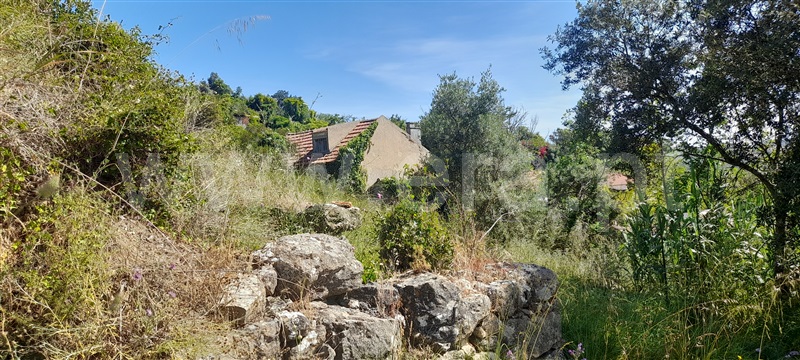 Quinta  com Grande Alenquer, Alenquer (Santo Estêvão e Triana) - 1409458 - 8