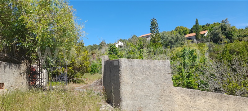 Quinta  com Grande Alenquer, Alenquer (Santo Estêvão e Triana) - 1409458 - 9