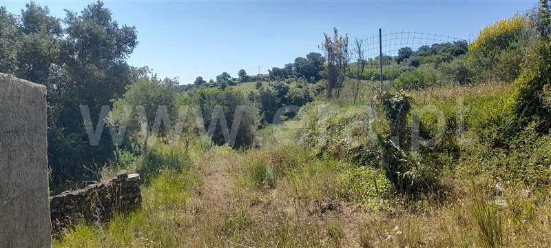 Quinta  com Grande Alenquer, Alenquer (Santo Estêvão e Triana) - 1409458 - 10