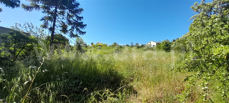 Quinta  com Grande Alenquer, Alenquer (Santo Estêvão e Triana) - 1409458 - 12