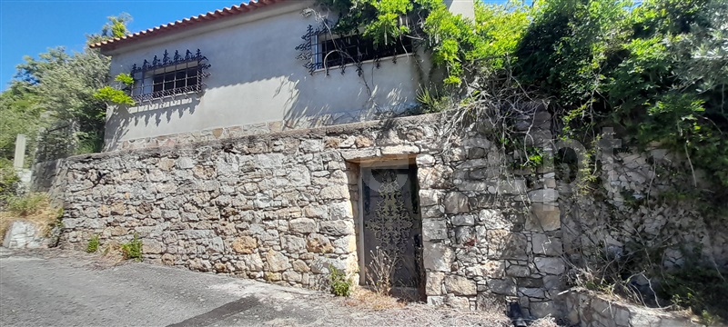 Quinta  com Grande Alenquer, Alenquer (Santo Estêvão e Triana) - 1409458 - 14