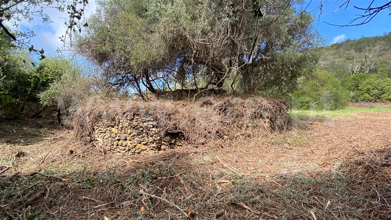 Quinta  Aljezur, Bordeira - 1378543 - 3
