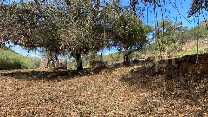 Quinta  Aljezur, Bordeira - 1378543 - 15