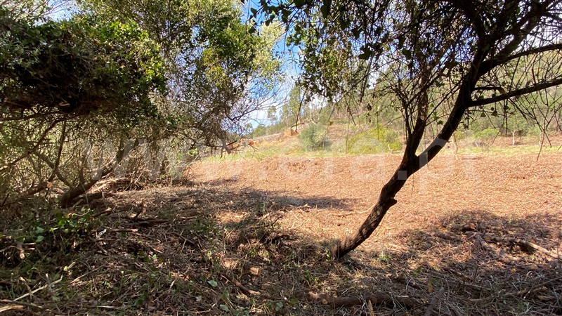 Quinta  Aljezur, Bordeira - 1378543 - 19
