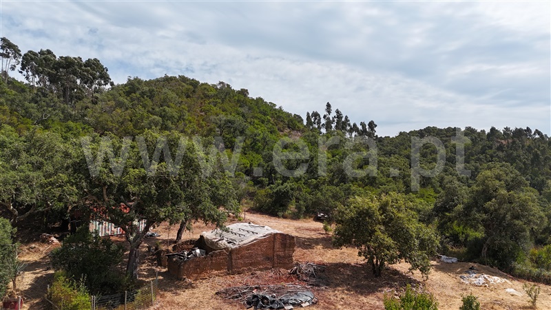 Quinta  Aljezur, Serominheiro - 1482713 - 11