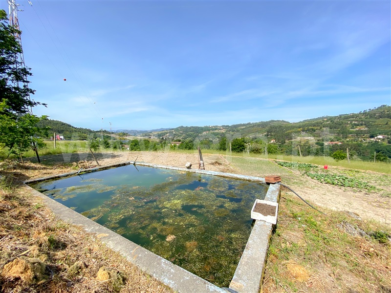 Quinta  Amarante, Aboadela, Sanche e Várzea - 1326450 - 5