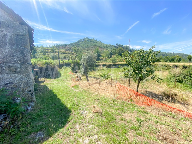 Quinta  Amarante, Aboadela, Sanche e Várzea - 1326450 - 6