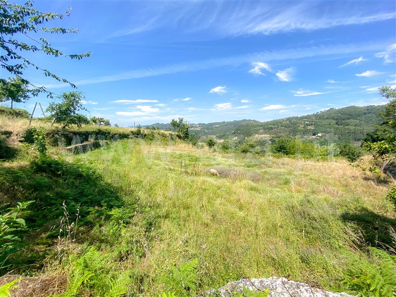 Quinta  Amarante, Aboadela, Sanche e Várzea - 1326450 - 7