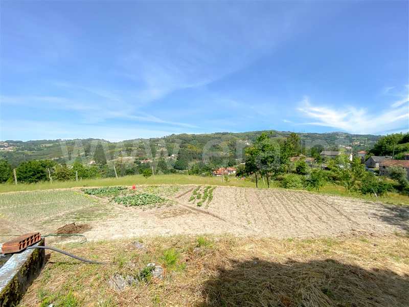 Quinta  Amarante, Aboadela, Sanche e Várzea - 1326450 - 8