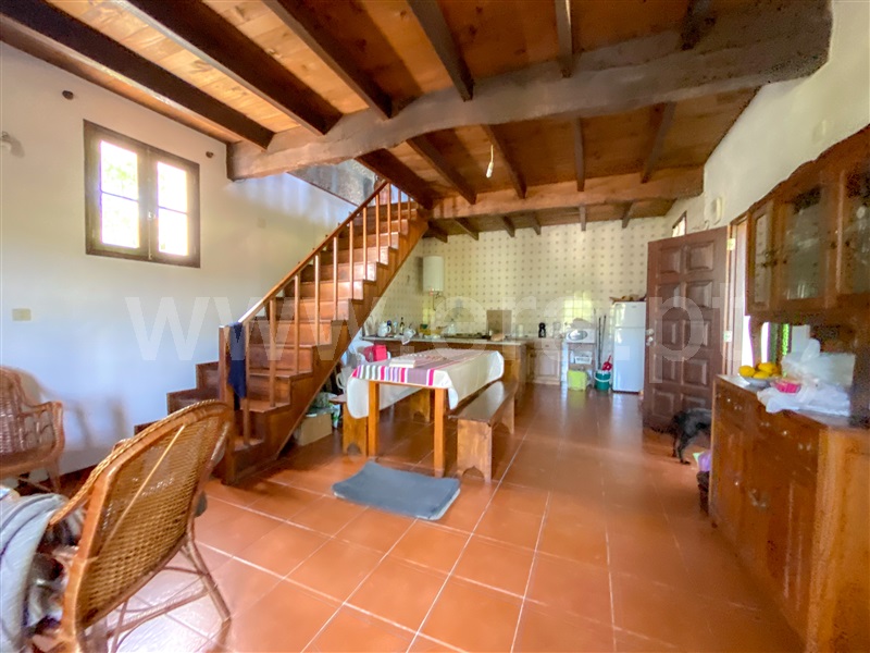 Quinta  Amarante, Aboadela, Sanche e Várzea - 1326450 - 11