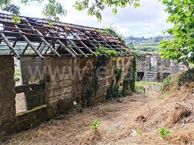 Quinta  Amarante, Figueiró (Santiago e Santa Cristina) - 985068 - 2