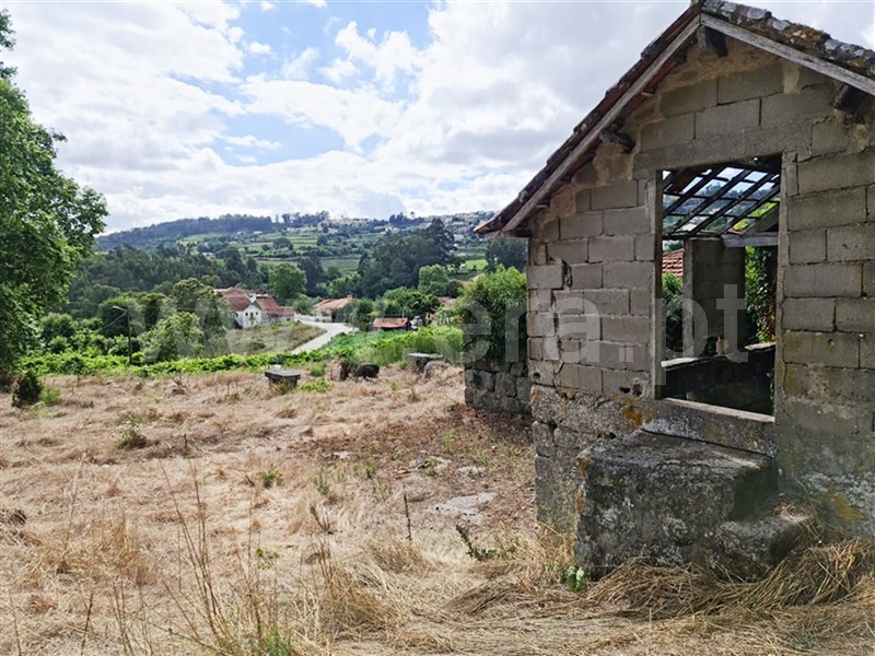 Quinta  Amarante, Figueiró (Santiago e Santa Cristina) - 985068 - 3