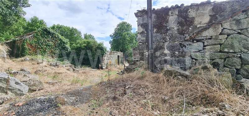 Quinta  Amarante, Figueiró (Santiago e Santa Cristina) - 985068 - 4