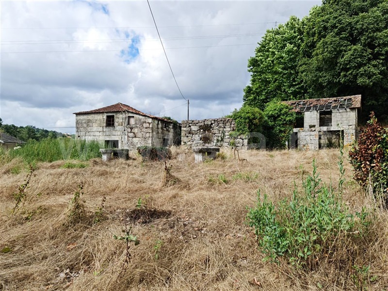 Quinta / Amarante, Figueiró (Santiago e Santa Cristina)