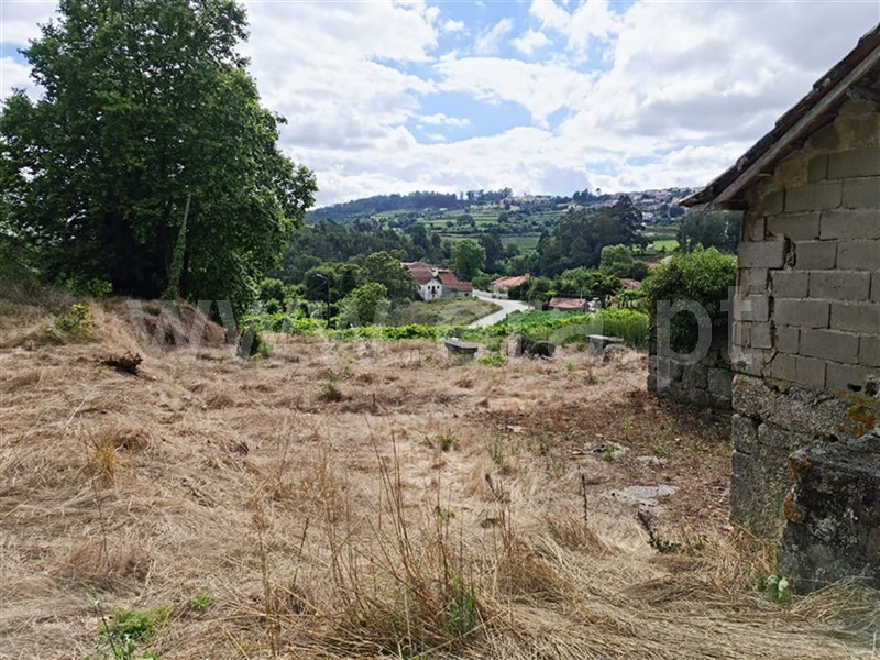 Quinta  Amarante, Figueiró (Santiago e Santa Cristina) - 985068 - 6