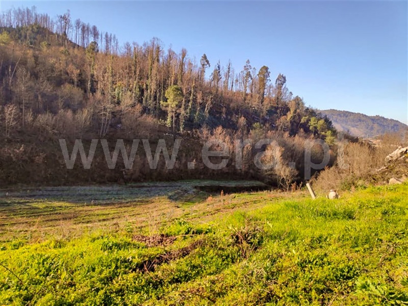 Quinta  Amarante, Gondar - 690236 - 2