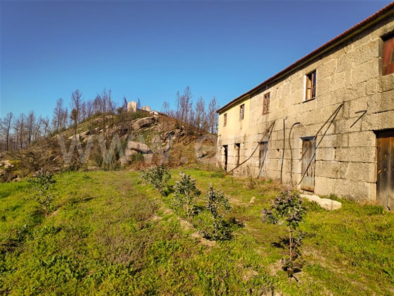 Quinta  Amarante, Gondar - 690236 - 1