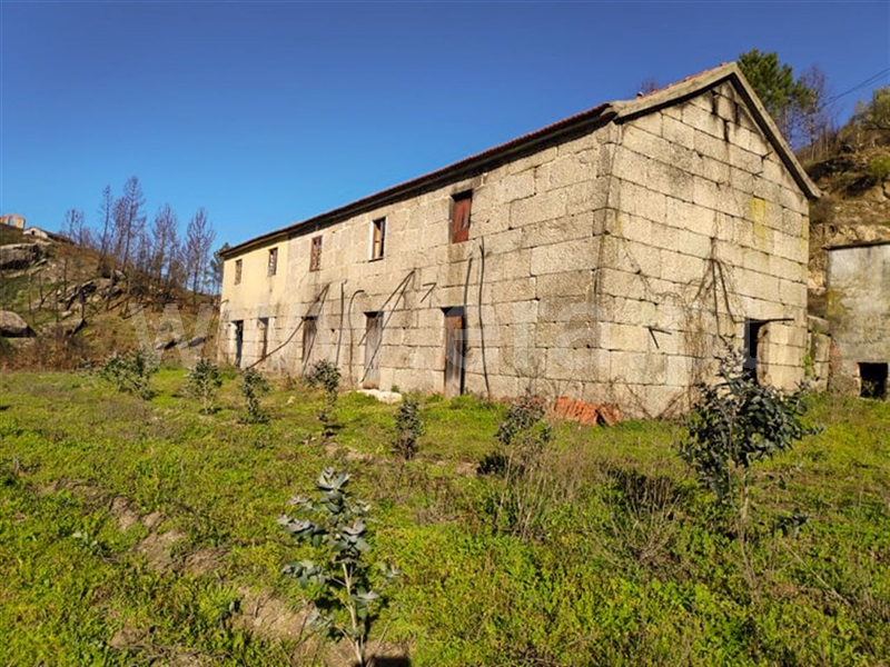 Quinta / Amarante, Gondar
