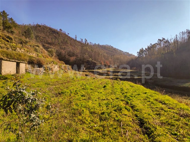 Quinta  Amarante, Gondar - 690236 - 5