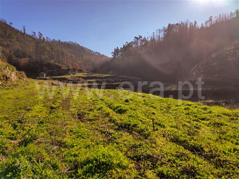 Quinta  Amarante, Gondar - 690236 - 6