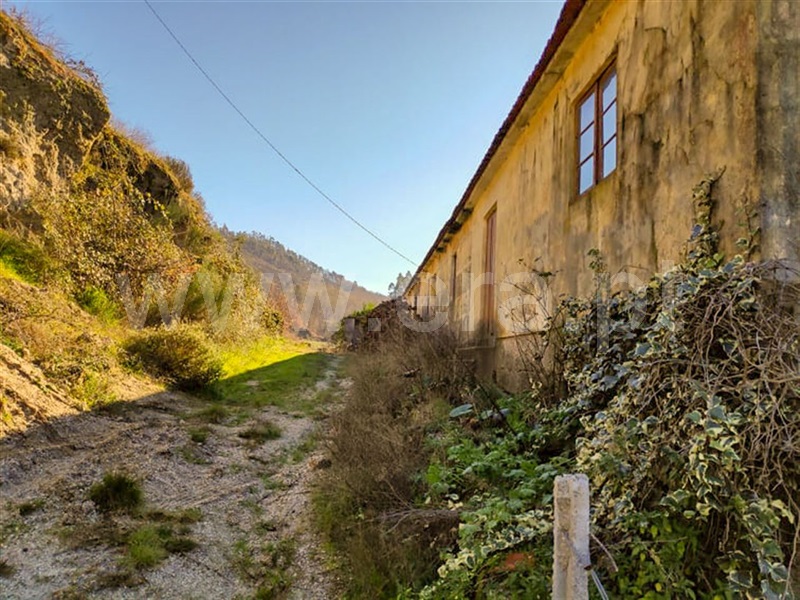 Quinta  Amarante, Gondar - 690236 - 7