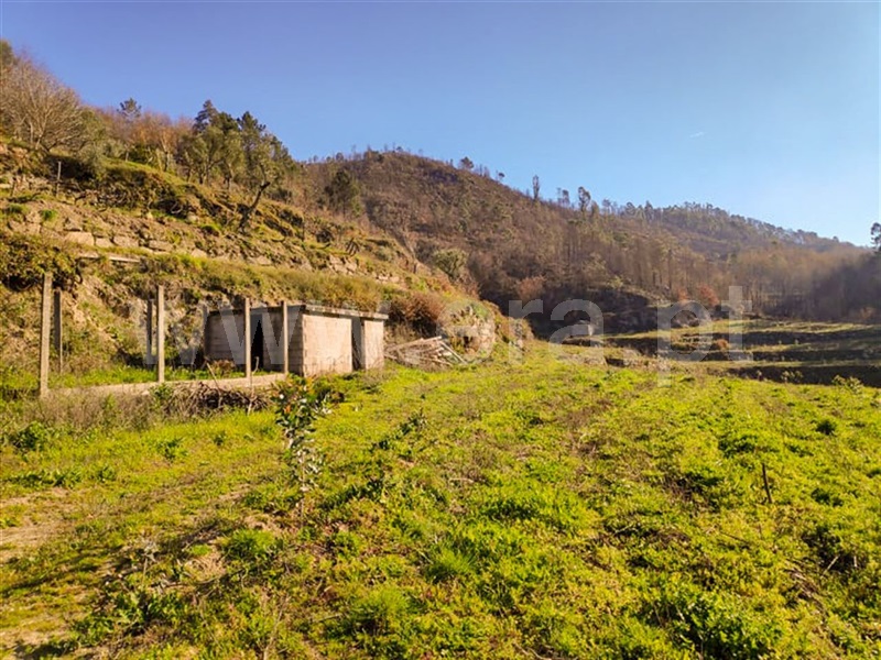 Quinta  Amarante, Gondar - 690236 - 8