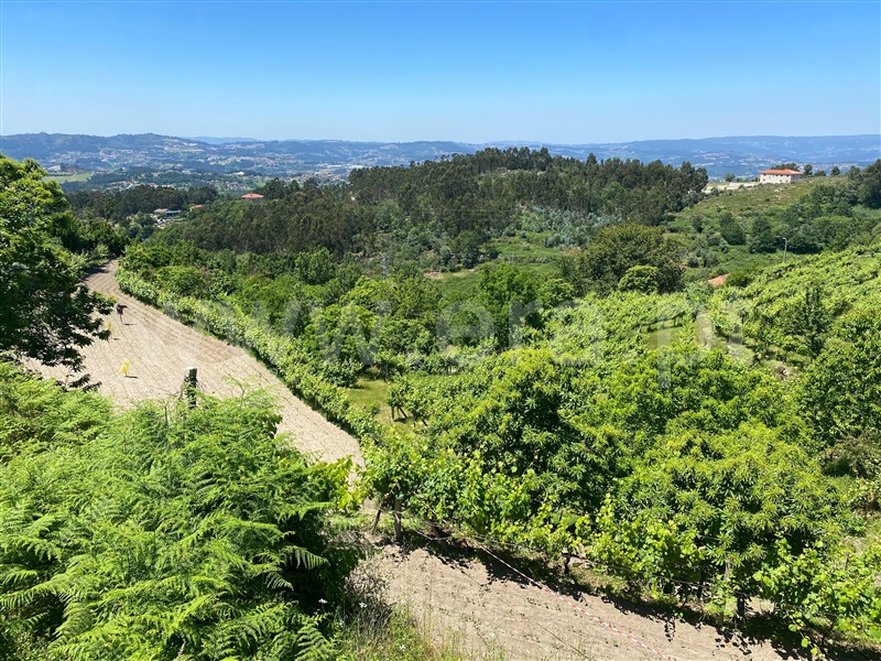 Quinta  Amarante, Gouveia (São Simão) - 829435 - 1