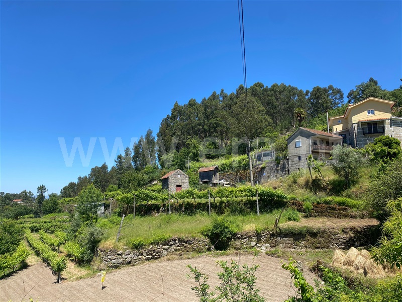 Quinta  Amarante, Gouveia (São Simão) - 829435 - 3