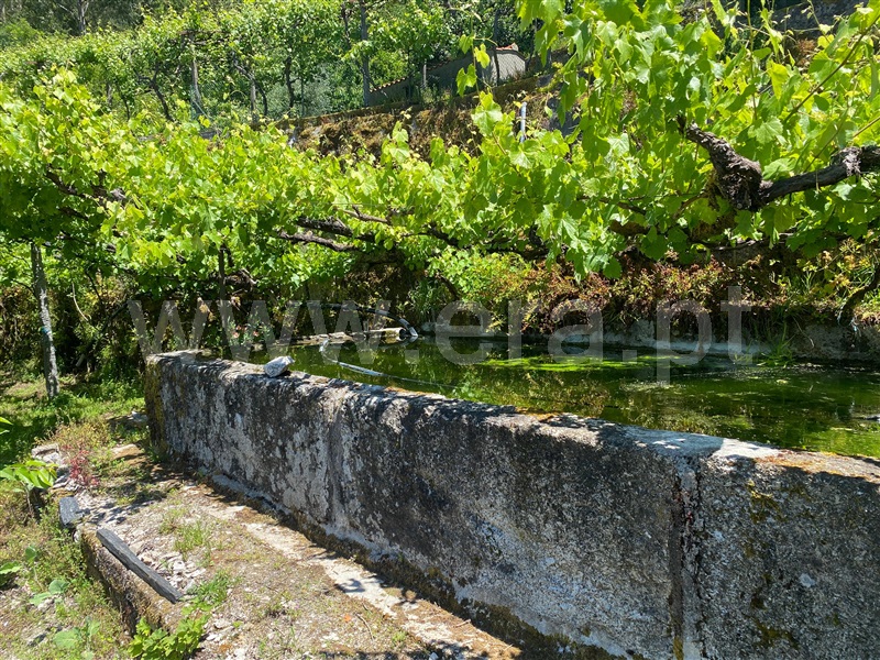 Quinta  Amarante, Gouveia (São Simão) - 829435 - 11