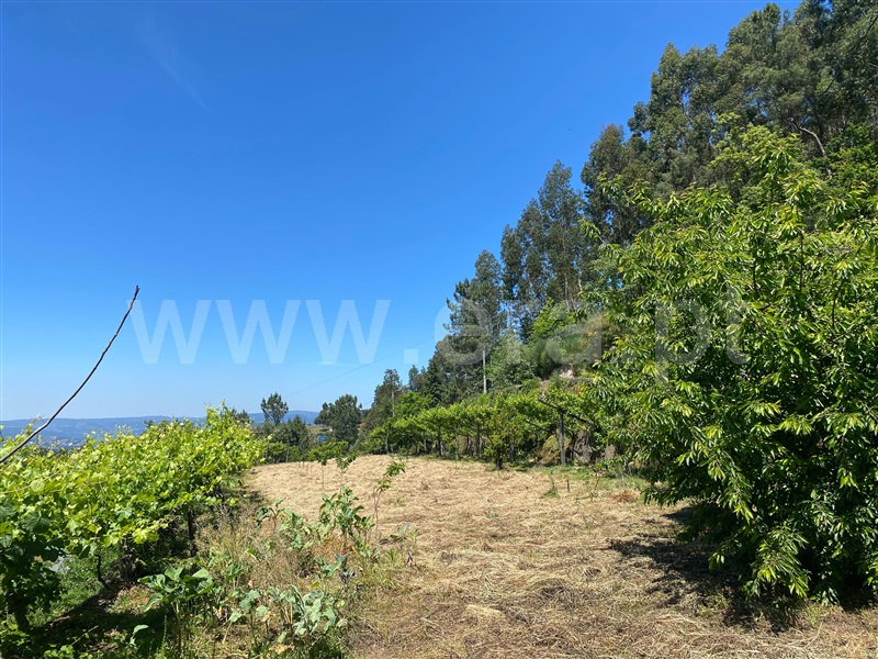 Quinta  Amarante, Gouveia (São Simão) - 829435 - 12