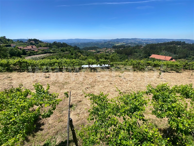 Quinta  Amarante, Gouveia (São Simão) - 829435 - 19