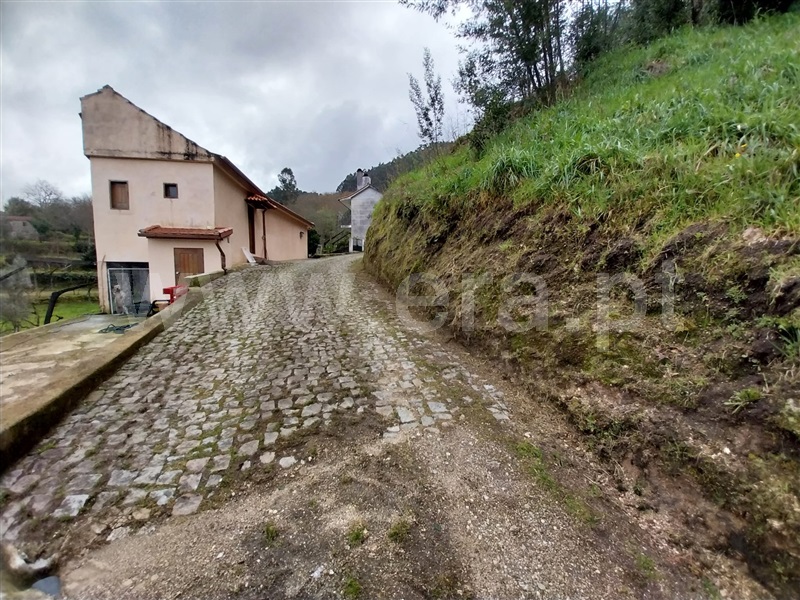 Quinta  Amarante, Jazente - 1468477 - 2