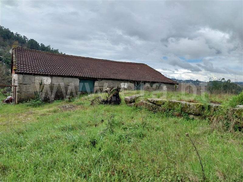 Quinta  Amarante, Jazente - 1468477 - 7