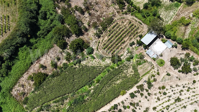 Quinta  Amarante, Mancelos - 1422944 - 1