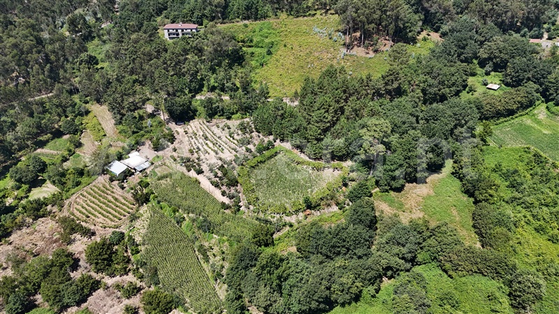 Quinta / Amarante, Mancelos