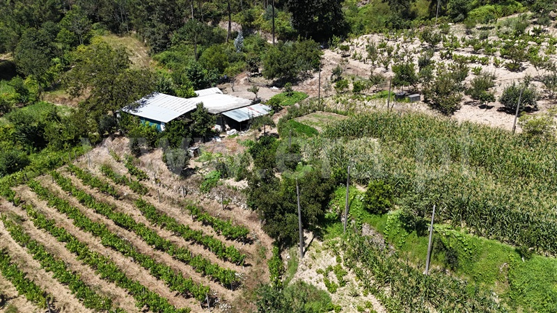 Quinta  Amarante, Mancelos - 1422944 - 7