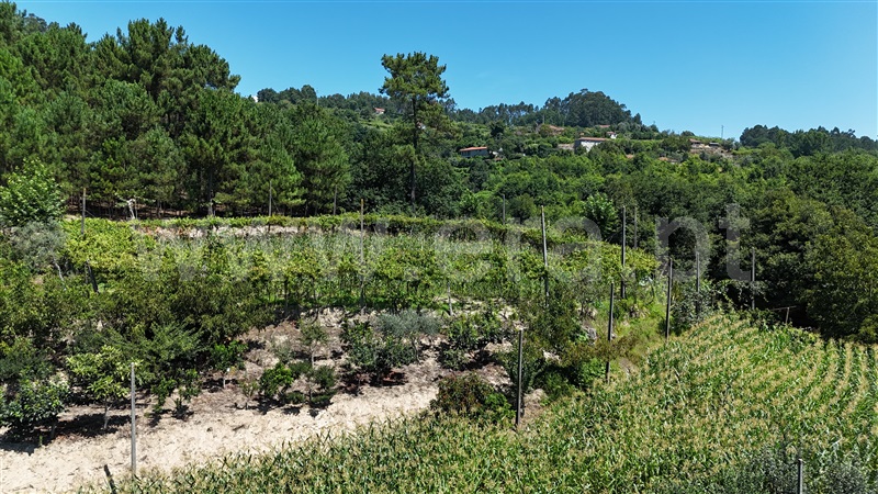 Quinta  Amarante, Mancelos - 1422944 - 8