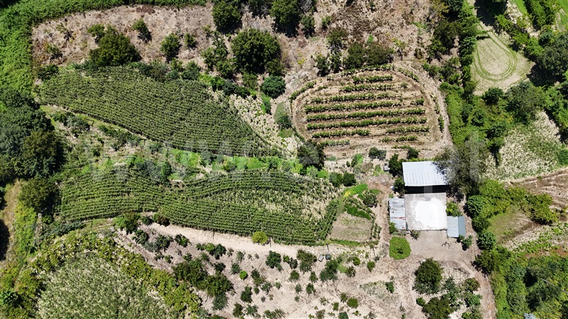 Quinta  Amarante, Mancelos - 1422944 - 10