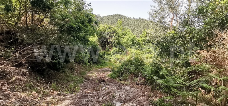 Terreno com ruina  Amarante, Olo e Canadelo - 1249045 - 2