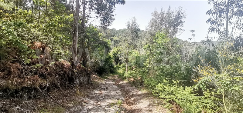 Terreno com ruina  Amarante, Olo e Canadelo - 1249045 - 7