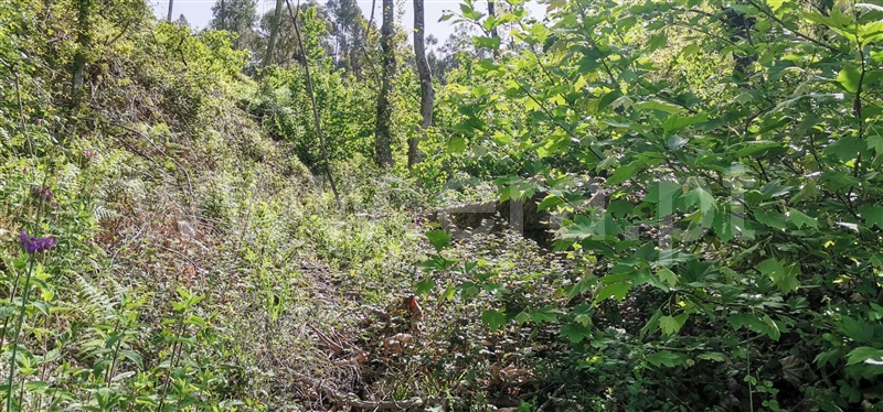 Terreno com ruina  Amarante, Olo e Canadelo - 1249045 - 10